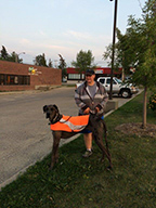  Karen and her Great Dane after a productive lesson at the park.