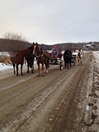 Cara Lea  and myself are driving the first cart with two horses ponied to the right, plus in tow is a horse and cart with a horse tied behind it.
